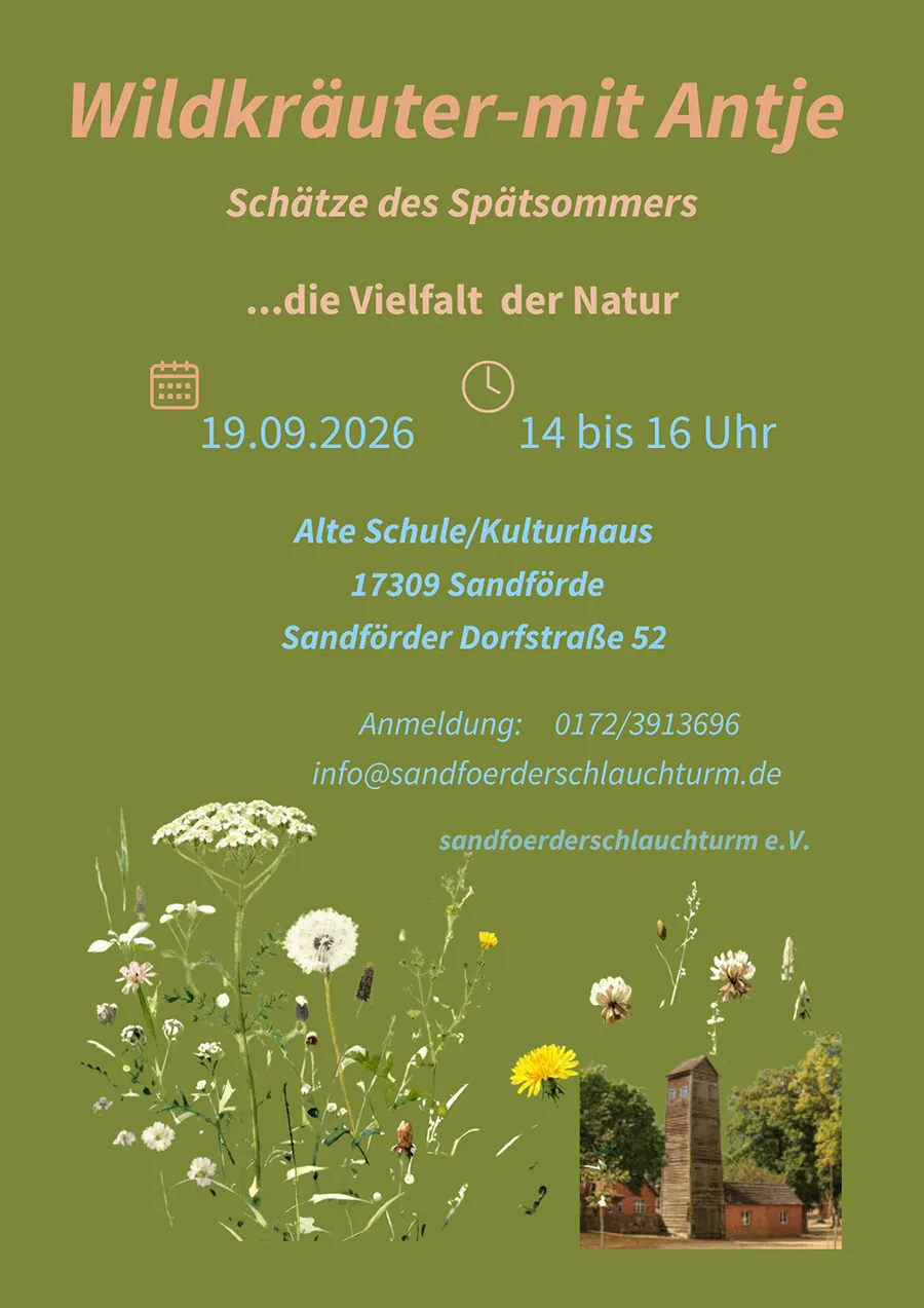 Veranstaltungsbild: Wildkräuterwanderung in Sandförde